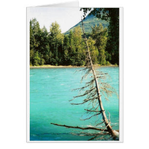 Cartão Azul do rio de Kenai