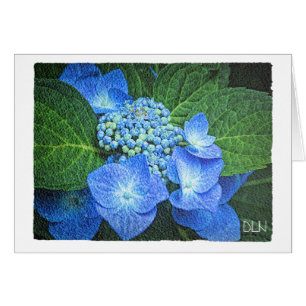 Cartão Azul Hydrangea Flor/Floral/Watercolor