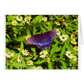 Cartão Azul Iridescente Roxo com Asas de Borboleta Preta