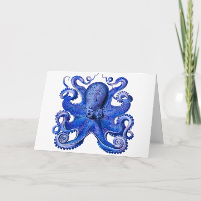 Cartão Azul Octopus Haeckel (Frente)