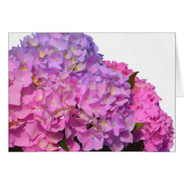 Cartão Azul rosa Hydrangeas elegantes flores roxas cor-de