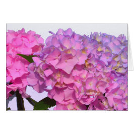 Cartão Azul rosa Hydrangeas elegantes flores roxas cor-de