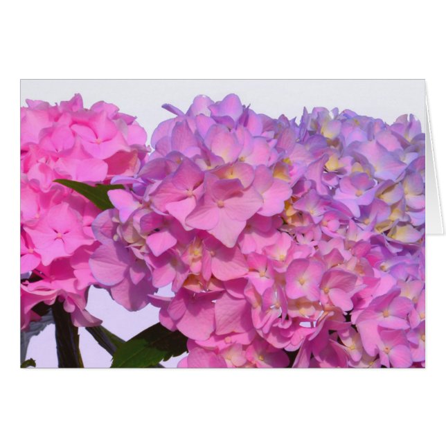 Cartão Azul rosa Hydrangeas elegantes flores roxas cor-de (Frente Horizontal)