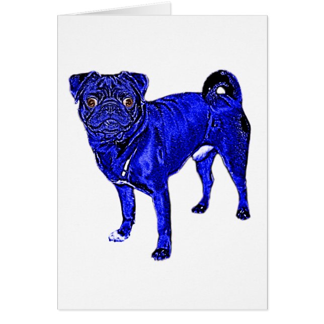 Cartão Azul Surrupias (Frente)