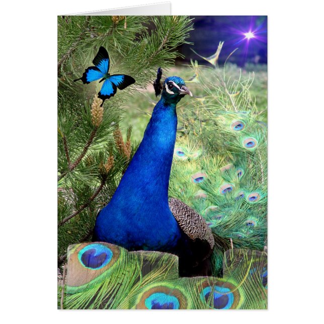 Cartão Azul Verdadeiro (Frente)