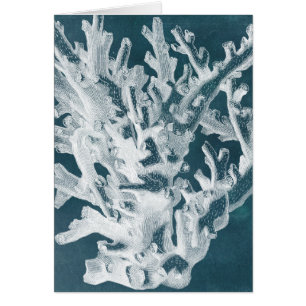 Cartão Azure Coral I