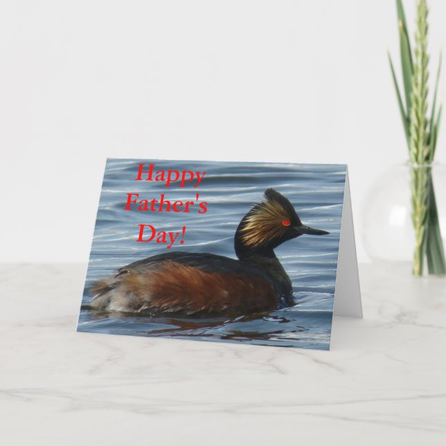 Cartão B1 Eared Grebe (Frente)
