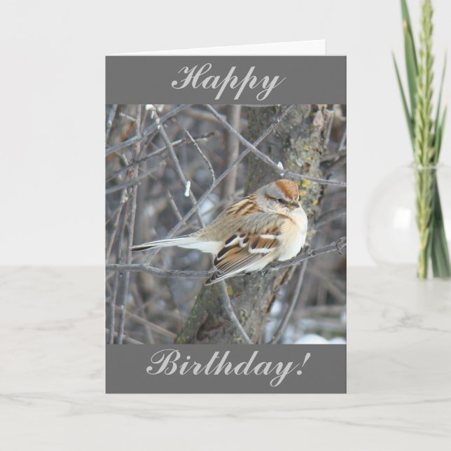 Cartão B24 Pardal Comum (Frente)