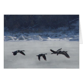 Cartão B48 Geese Canadiana sobre rio congelado