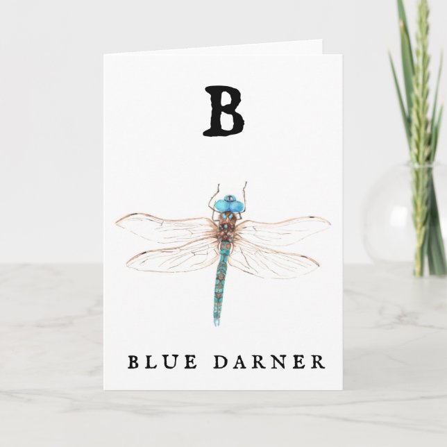 Cartão "B" Blue Darner (Frente)