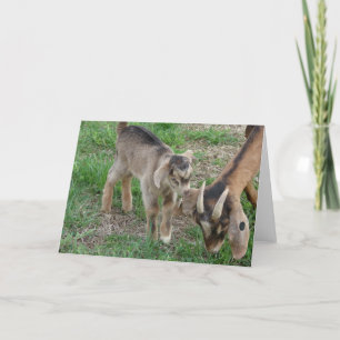 Cartão Babá e Criança