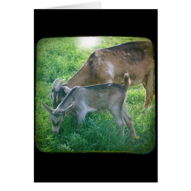 Cartão Babá e KId (Frente)