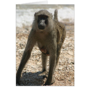 Cartão Baboon e Bebê