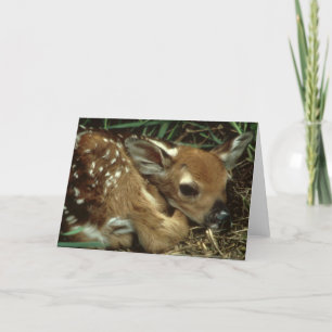 Cartão Baby Deer Greeting Card