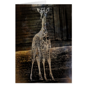 Cartão Baby Giraffe