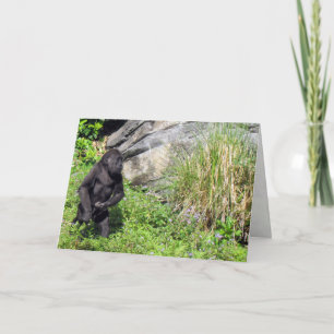 Cartão Baby Gorilla Greeting Card