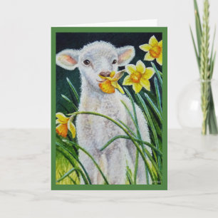 Cartão Baby Lamb e Primavera Daffodils