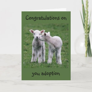 CARTÃO BABY LAMBS ESTÁ FELIZ COM SUA "ADOÇÃO"
