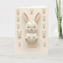Cartão Baby Monthly Milestone Cards