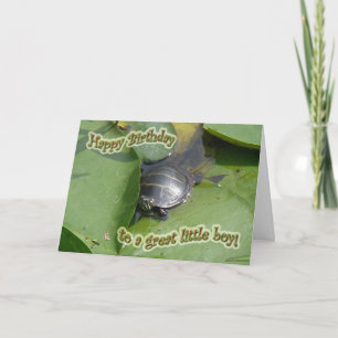 Cartão Baby Painted Turtle Birthday for Boy