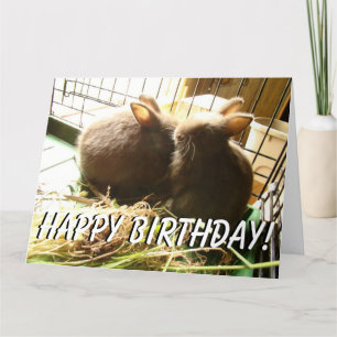 Cartão Baby Rabbits Animals Bunnies Big Greeting Card