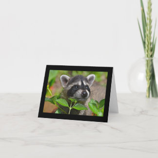 Cartão Baby Raccoon Notecard