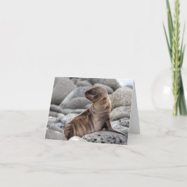 Cartão Baby Sea Lion Greeting Card