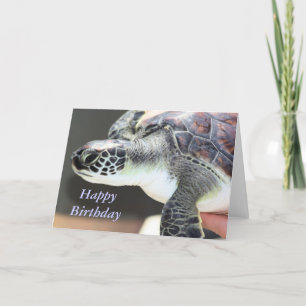 Cartão Baby Sea Turtle Birthday Card