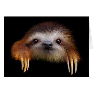 Cartão Baby Sloth