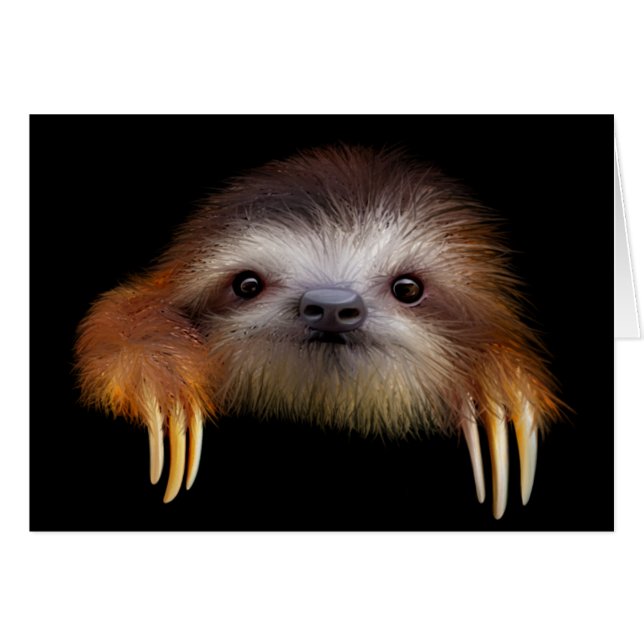 Cartão Baby Sloth (Frente Horizontal)