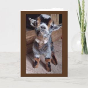 Cartão BABY TEM UM FAVOR "TENHA UM aniversário de 30 anos