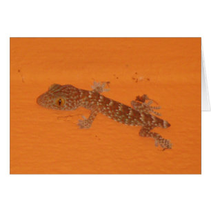 Cartão Baby Tokay Gecko Card