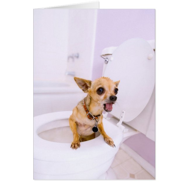 Cartão Bacia de toalete (a água foi drenada para fora) (Frente)