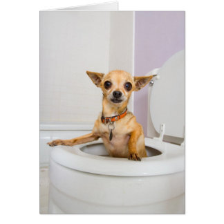 Cartão Bacia de toalete (a água foi drenada para fora)