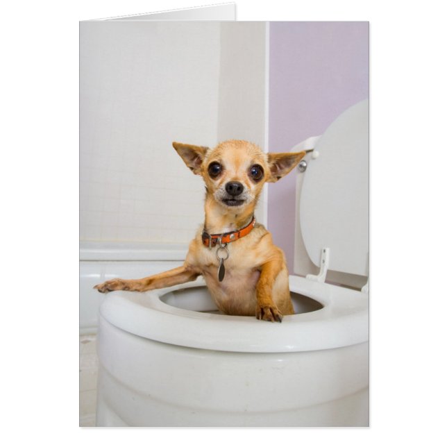 Cartão Bacia de toalete (a água foi drenada para fora) (Frente)