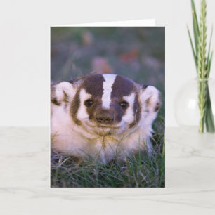 Cartão Badger