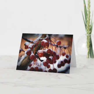 Cartão Bagas congeladas