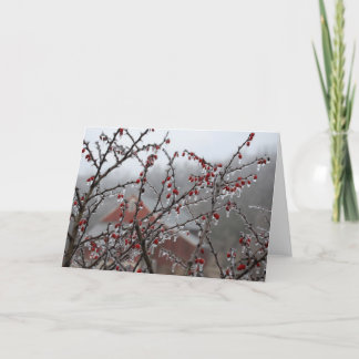 Cartão Bagas do gelo