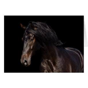 Cartão Baía escura