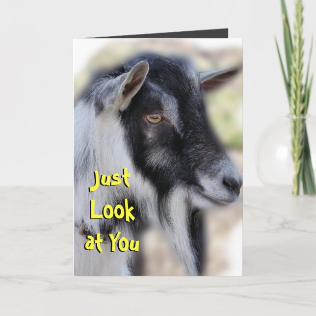 Cartão BaileyLookatPersonalizar qualquer ocasião (Frente)