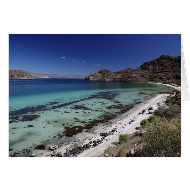 Cartão Baja Conception Bay (Frente Horizontal)