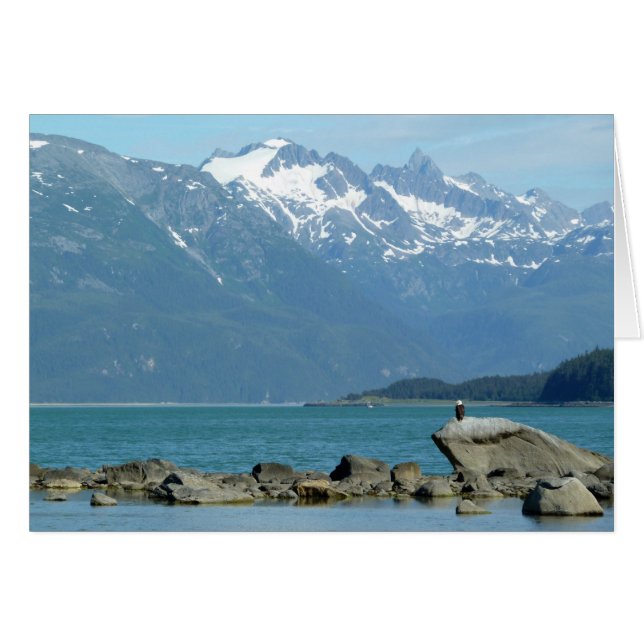 Cartão Bald Eagle em Skagway Alaska (Frente Horizontal)