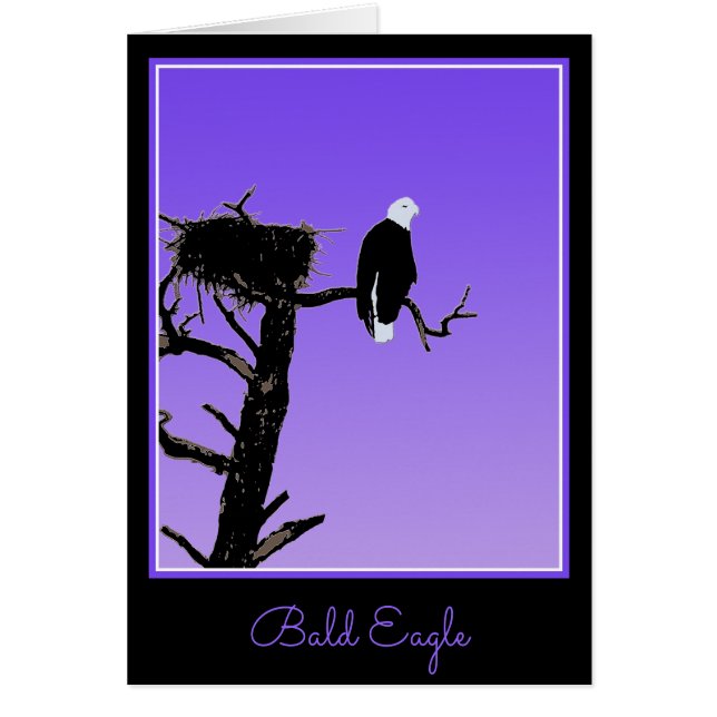 Cartão Bald Eagle em Sunset - Arte original sobre a vida  (Frente)