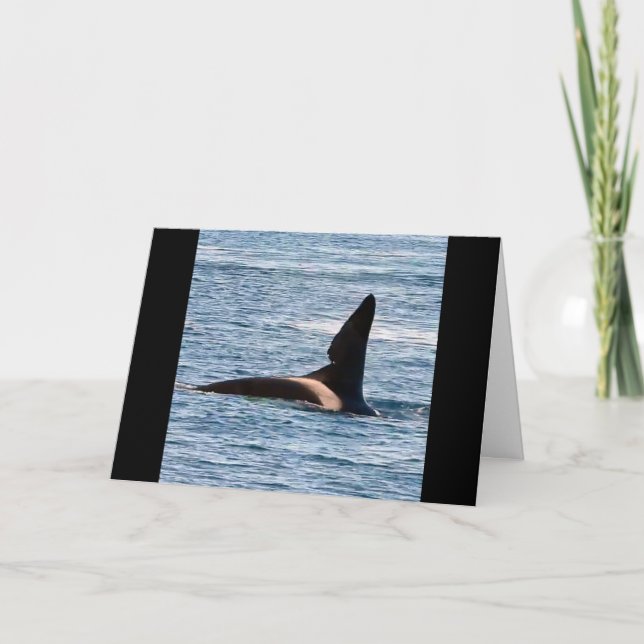 Cartão Baleia Assassina John Coe Personalizável Orca da C (Frente)