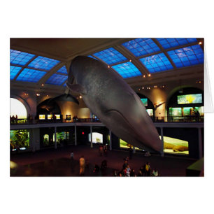 Cartão Baleia azul grande