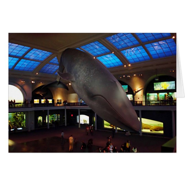 Cartão Baleia azul grande (Frente Horizontal)