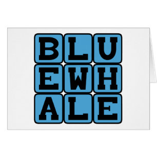 Cartão Baleia Azul, Mamíferos Marinhos