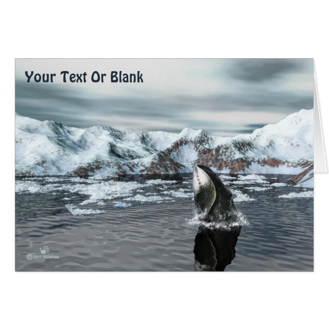 Cartão Baleia-de-cabeça (Frente Horizontal)