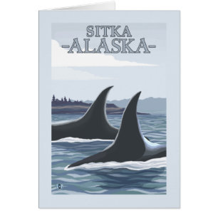 Cartão Baleias #1 da orca - Sitka, Alaska