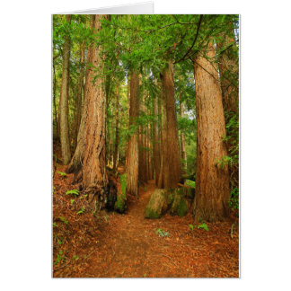 Cartão Baltimore Canyon